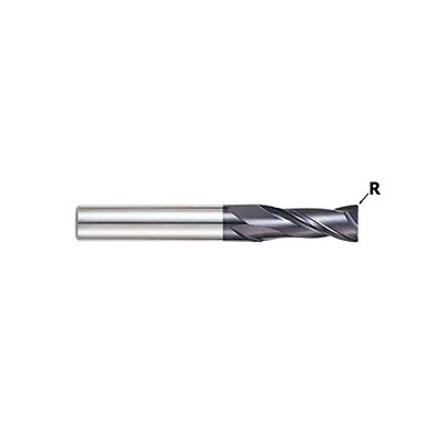 YG1-GM818100 - 10.0(R.5) x 10.0 x 30.0 x 90.0 - X-Power Pro 2 Flute Long Length Corner Radius End Mill