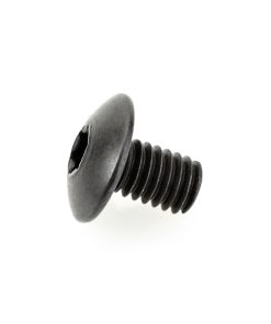 67110 Torx Screw 4 x 6mm
