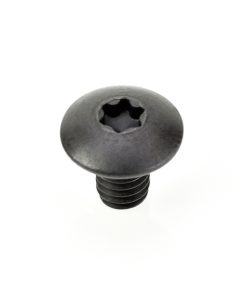 67110 Torx Screw 4 x 6mm